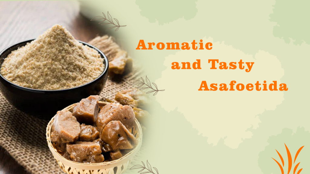 Aromatic and Tasty Asafoetida